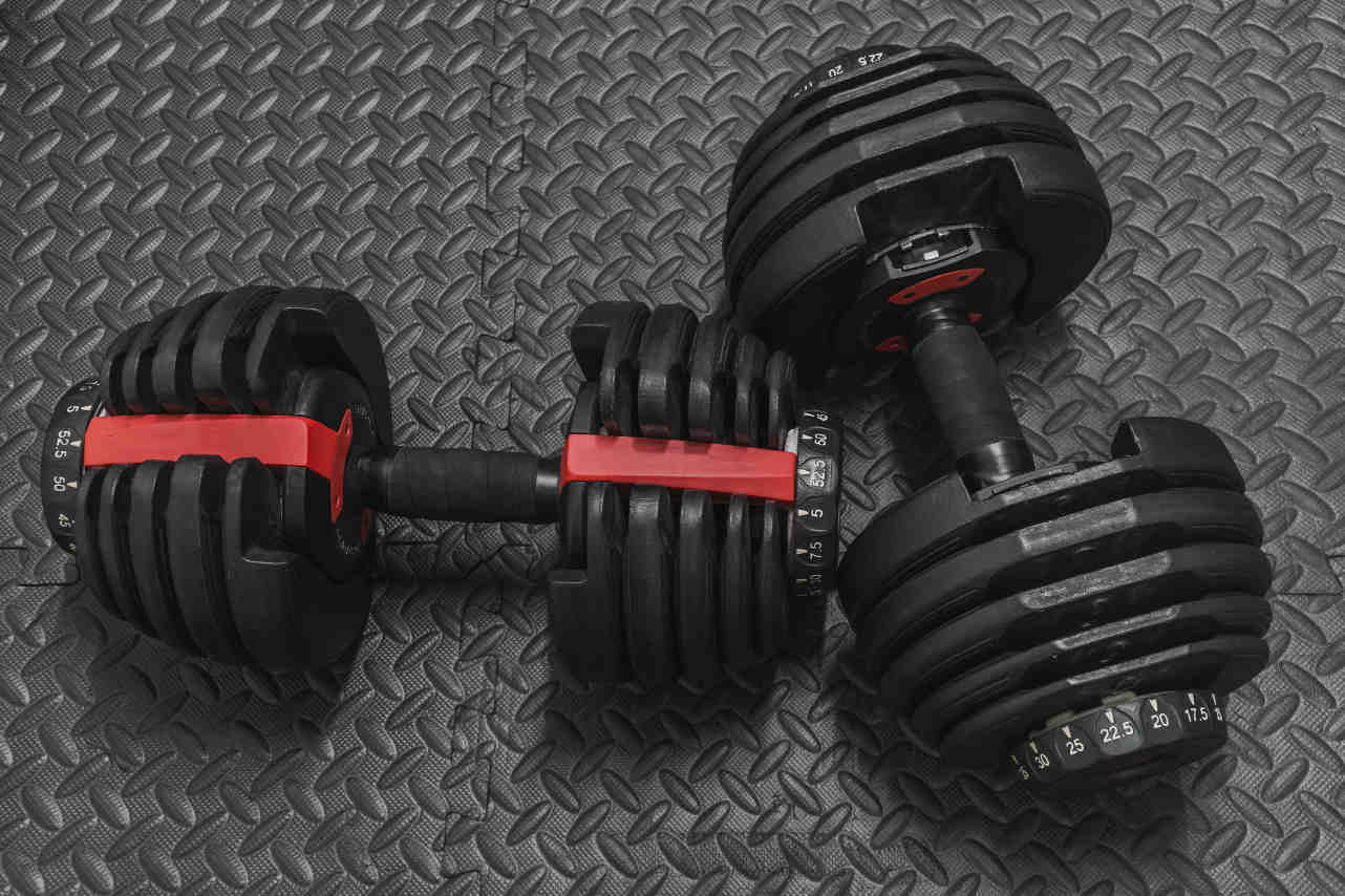 Dumbell Pullover Hangi Kasları Çalıştırır?