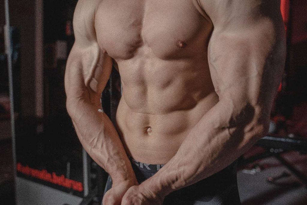 Serratus Anterior Kası Nedir
